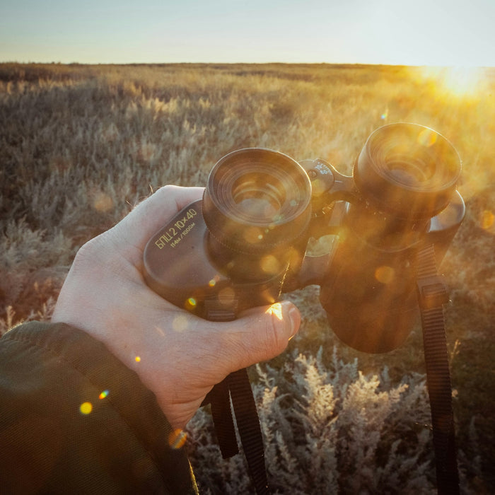 Hunter holding binoculars in a golden grass field at sunrise