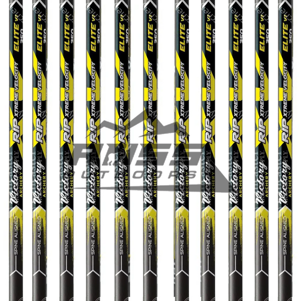 ELITEXC_grande.png?v=1720305958