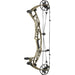 Hoyt Alpha AX-3 29 compound bow in Sandstorm finish