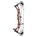 Hoyt Carbon RX-10 series compound bow full view