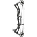 Hoyt Carbon RX-10 Ultra compound bow in Blackout finish