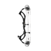 PSE Sicario FDS compound bow in Black, profile view